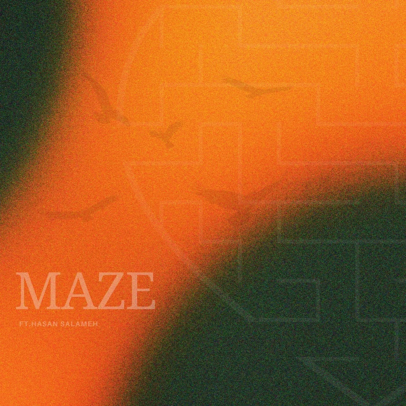 Maze Cover.jpg