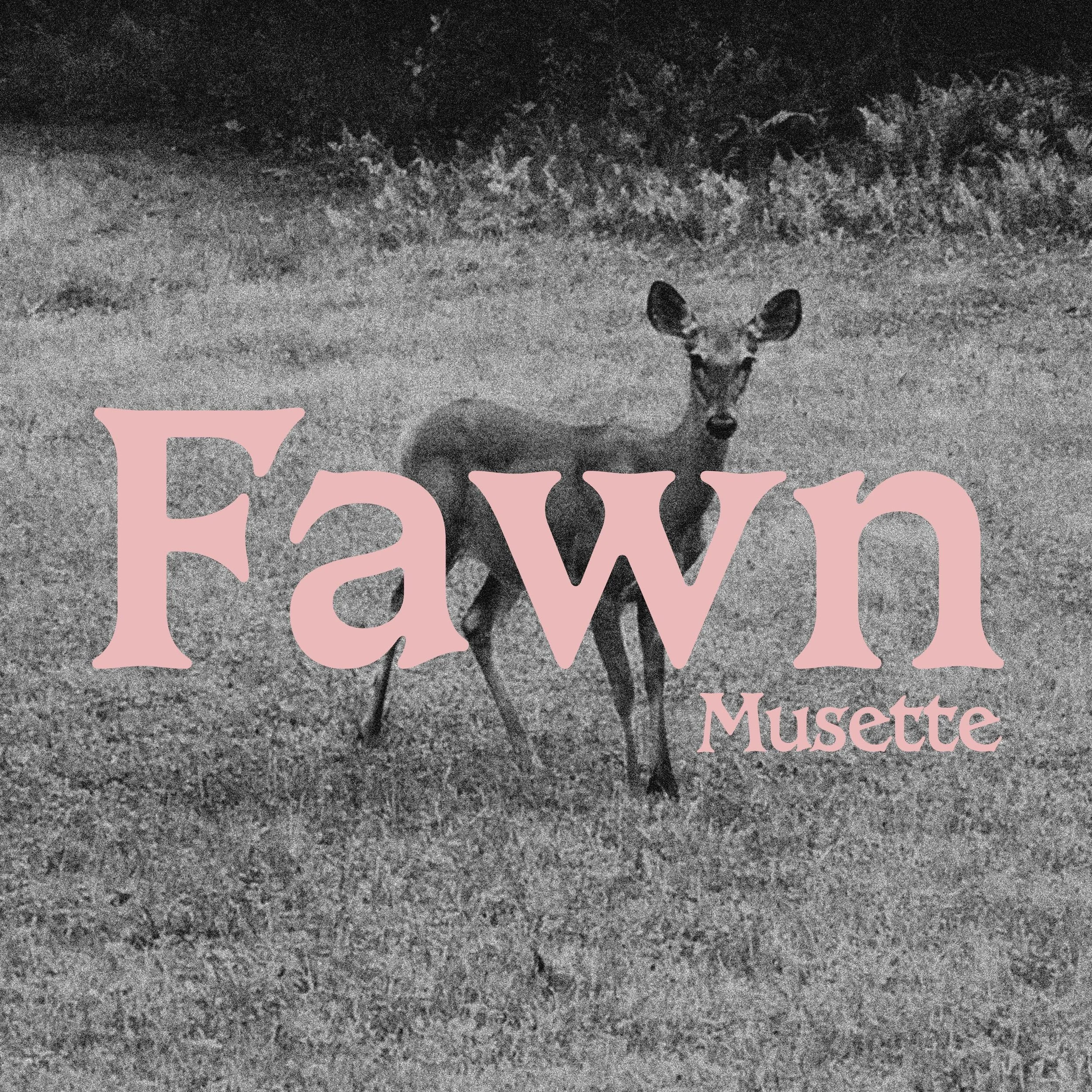 fawn.jpg