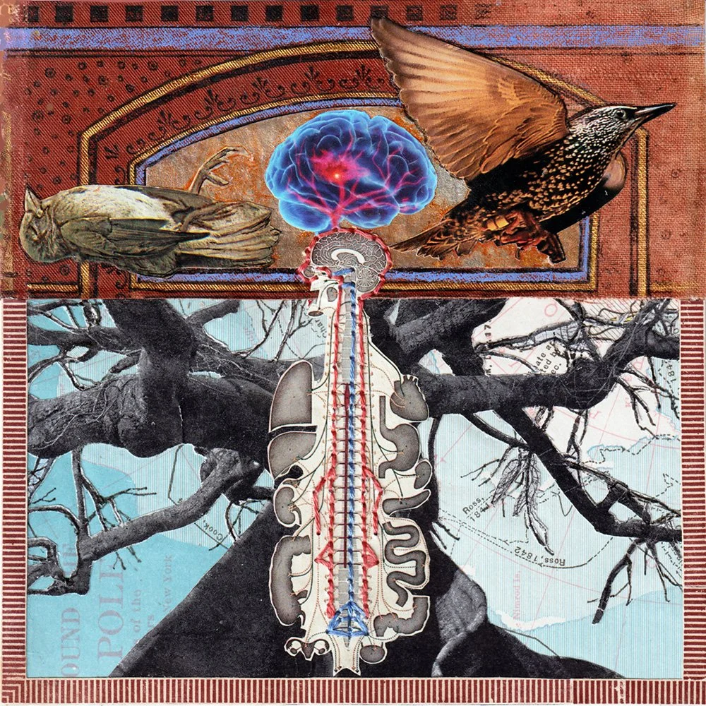 Davidson_Tree of Knowledge_unframed - WEB READY.jpg