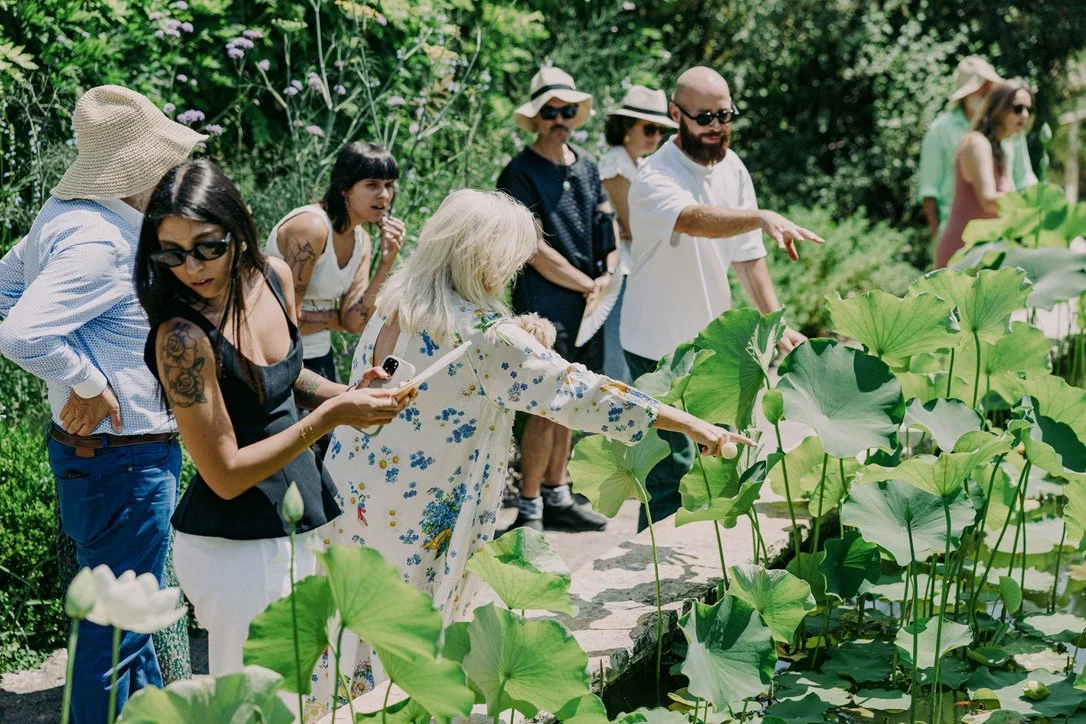 A fish heart resonates within water