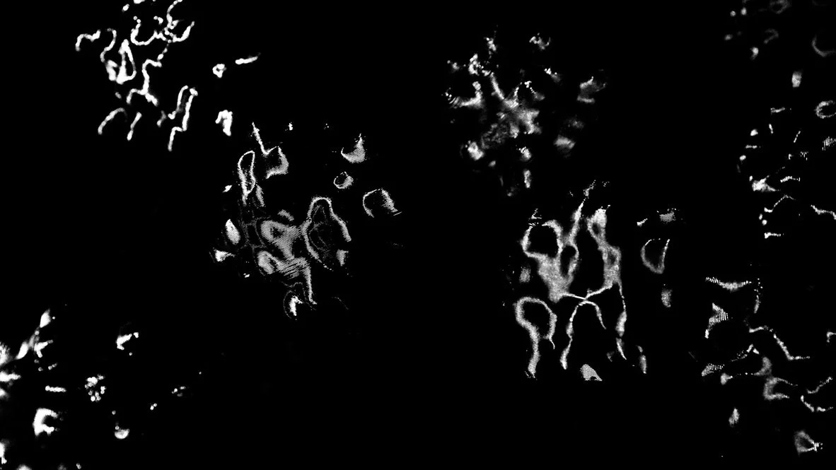 E51F3264-1DE9-4FFB-85AE-0CCB3C029981_1_105_c.jpeg