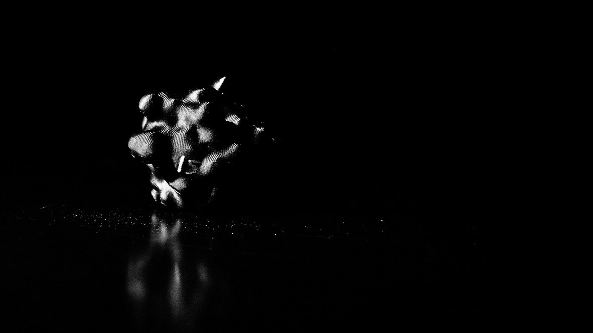 813F645F-EB1B-4907-970C-E992E41A2BEA_1_105_c.jpeg
