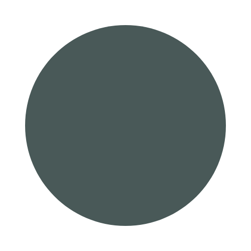 Close-up of a round, dark greenish-black washer or washer head.