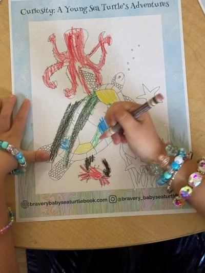 Curiosity Sea Turtle Coloring Book Page by preschoolers