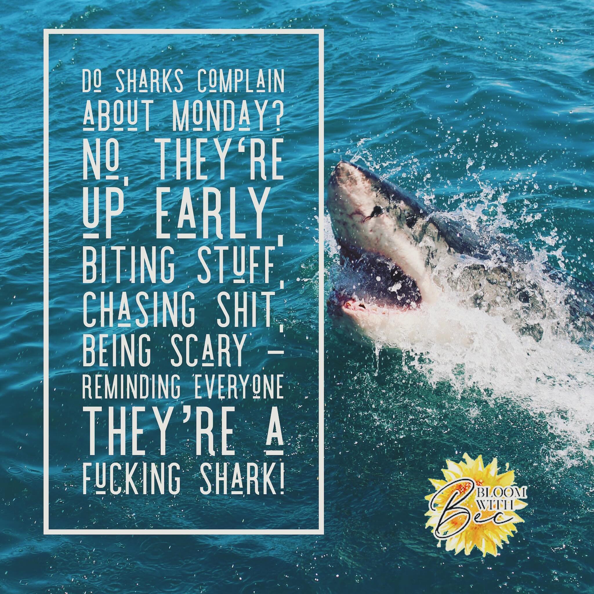 It&rsquo;s Monday! 🦈

Haven&rsquo;t pulled out THE BEST #mondaymotivation post in awhile. 😂

#lifecoachingtips #sharks #mondayvibes #bloomwithbeccoaching