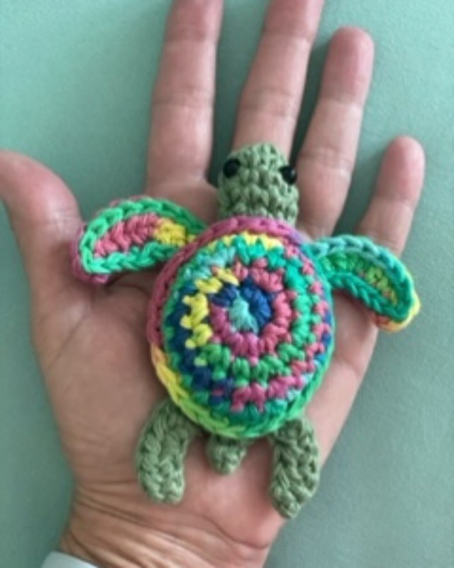 We have our adorable little crocheted Shelley&rsquo;s back in stock! 

A friend makes them for me. 😍

Message if you&rsquo;d like one. 🫶🏻

#babyseaturtle #crochetanimals #seaturtle #crochetlove #crochetersofinstagram #braverybabyseaturtlebook