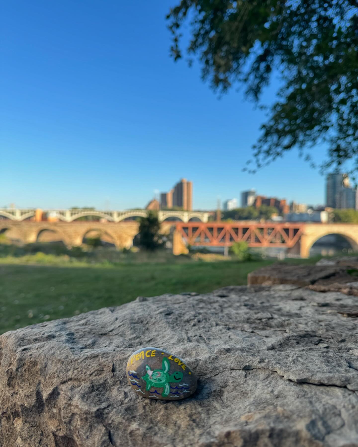 Find me along the Mississippi River in downtown Minneapolis! 

Yours to keep or pass on! 🫶🏻

@sharebloomrocks #seaturtles #rockpaintingisfun #happystones #minneapolis