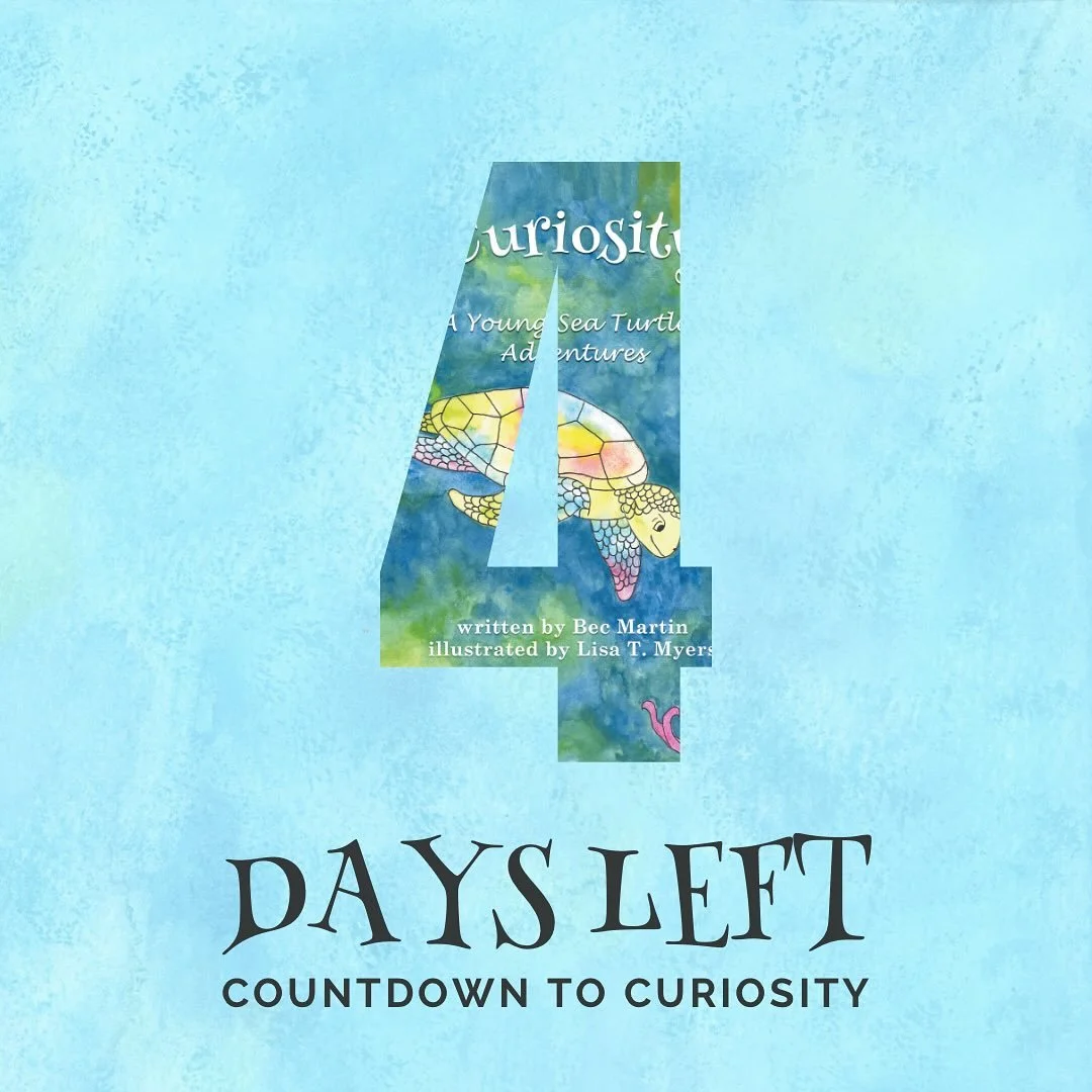 4 days until my book release!!! 🌊🐢🫶🏻
PRE-ORDER "Curiosity: A Young Sea Turtle's Adventures", OR ORDER ON NOVEMBER 1st, from Amazon to enter my ⭐️GIVEAWAY⭐️! 
✅ Order
✅ Post a pic of order confirmation 
✅ Tag one of my accounts! (@brav