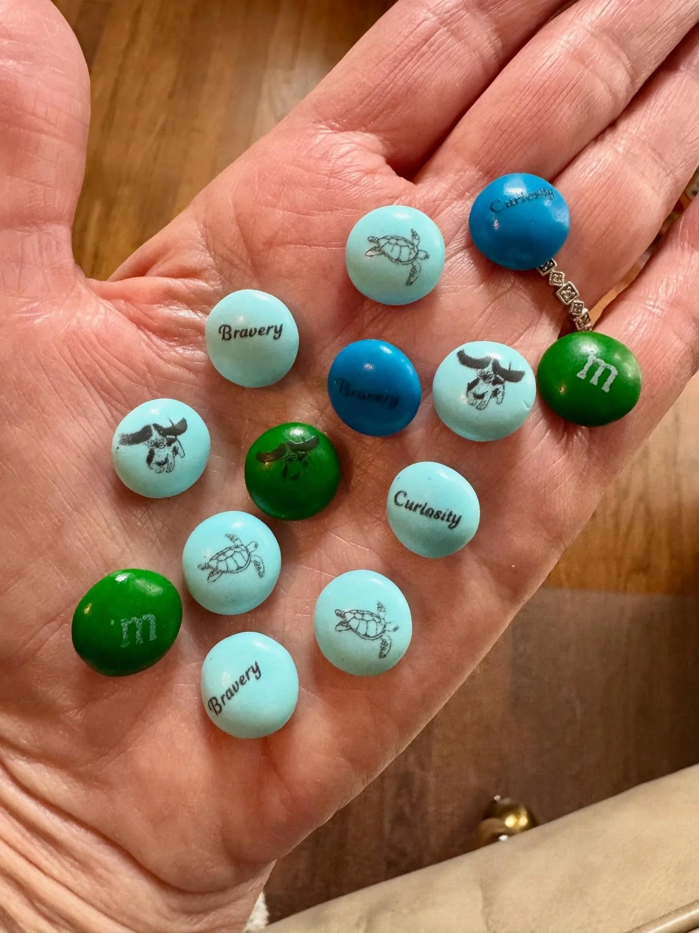Can we talk about how adorable these M&amp;Ms were at my book launch party?!! 😍

We've got the titles of both of my books: BRAVERY &amp; CURIOSITY!  My main character: SHELLEY, the loggerhead sea turtle, &amp; my granddog, FRED, who makes a guest ap