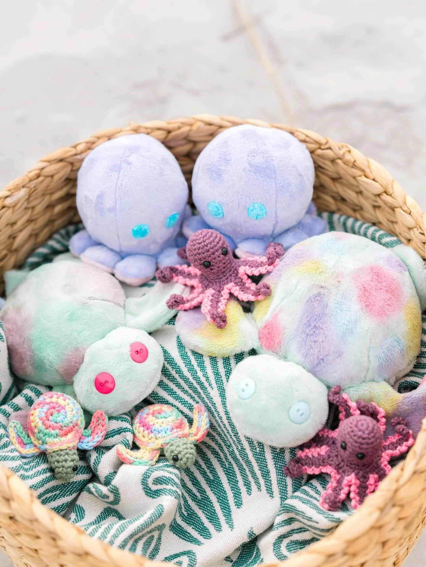 Need any last minute holiday gifts? We can help! 🌊🐢🐙🪸Shoot over a DM!! 

#shelleytheseaturtle #braverybabyseaturtlebook #curiosityseaturtlebook #shoplocal #supportlocal #localauthor