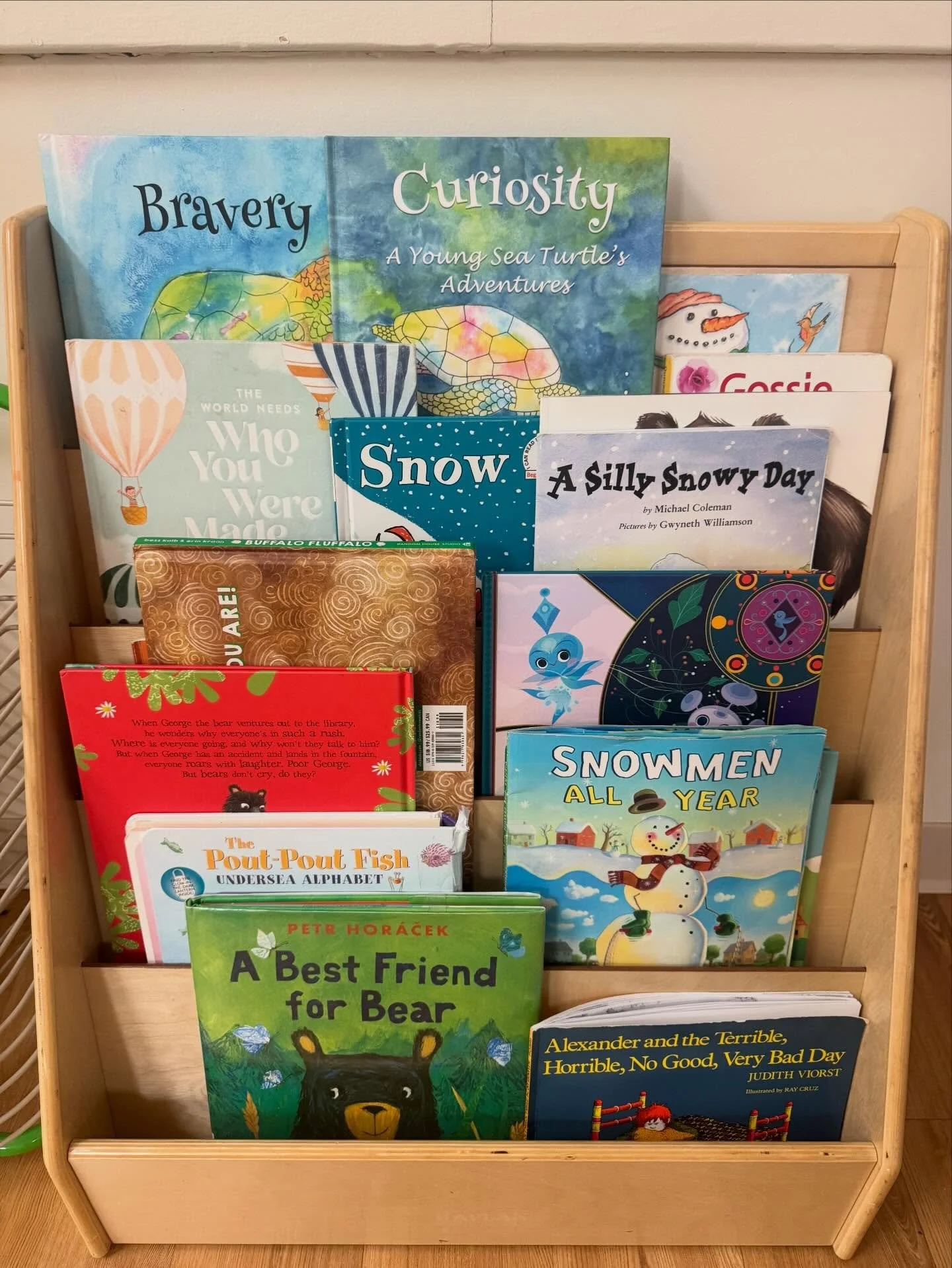 Love seeing my books on classroom bookshelves! 🫶🏻

@ivybrookacademywilmington #braverybabyseaturtlebook #preschoolfun