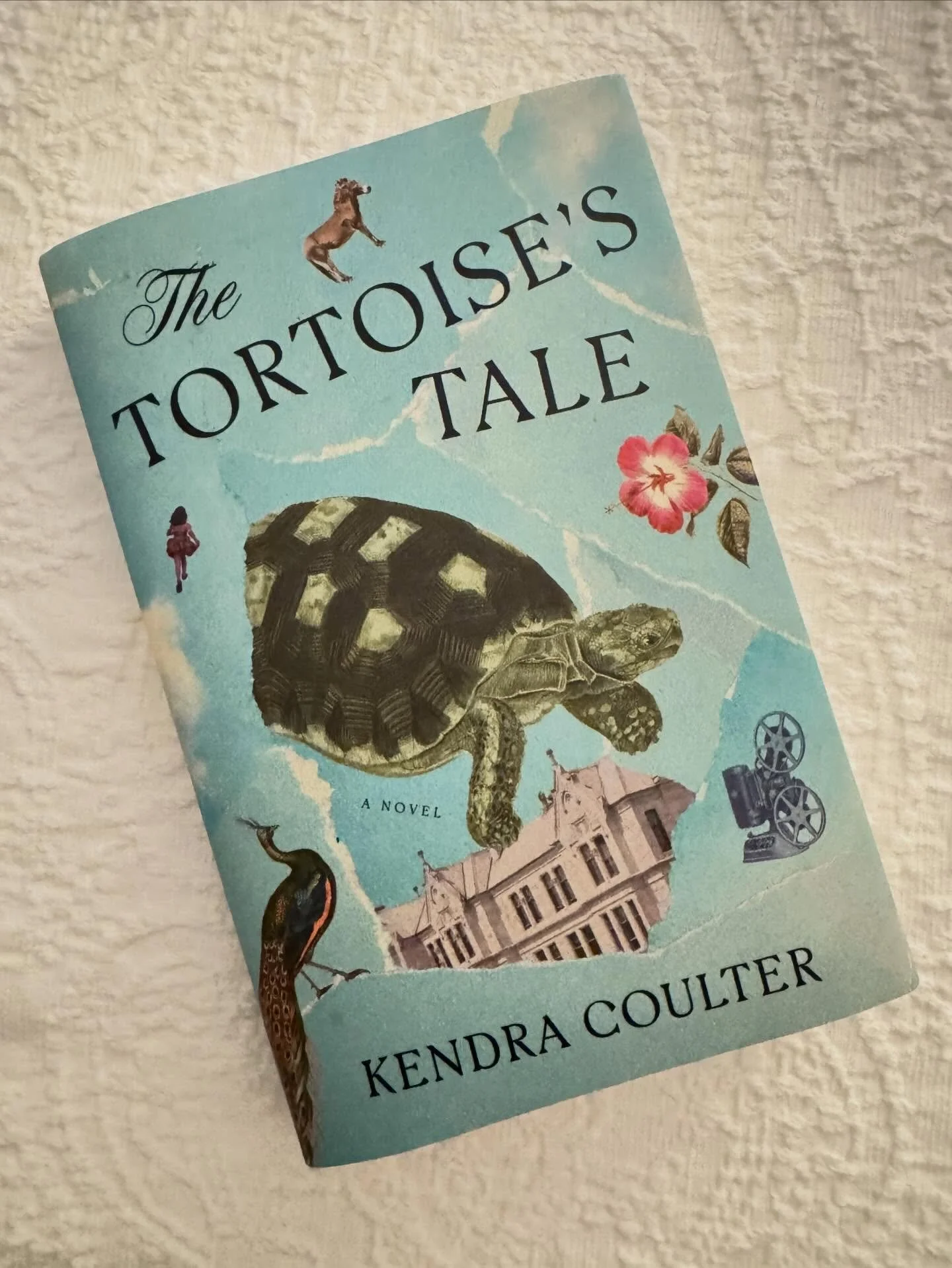 Book Review - The Tortoise's Tale by Kendra Coulter
⭐️⭐️⭐️⭐️⭐️

LOVED this book! From the moment I read the summary, I knew I would love it... I just didn't know how much! 🫶🏻

The tortoise is the narrator of this book, historical fiction at it's fi
