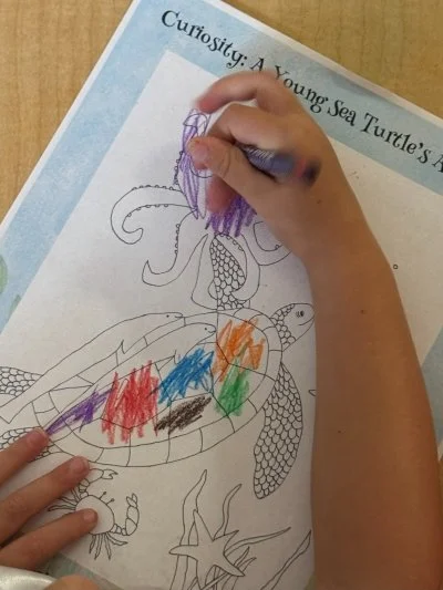 Curiosity Sea Turtle Coloring Book Page by preschoolers