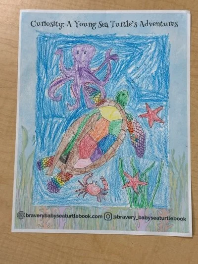 Curiosity Sea Turtle Coloring Book Page by preschoolers