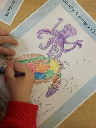 Curiosity Sea Turtle Coloring Book Page by preschoolers