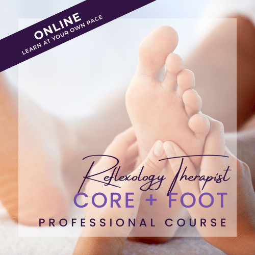 Foot Reflexology Certification Course (Online) Carolynn #39 s Reflexology