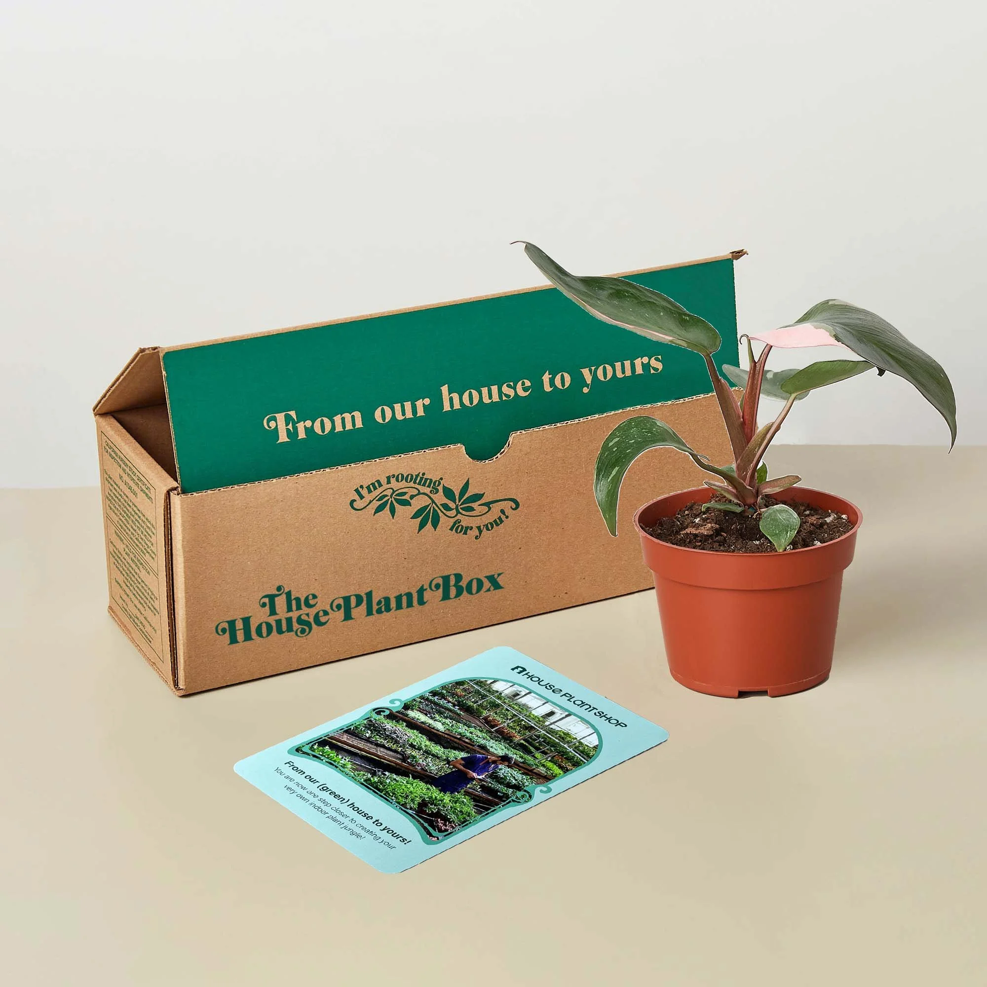 Rare Plant Box