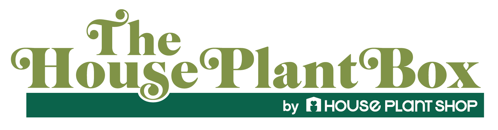 House Plant Box starting at $15 | Indoor Plant Subscription Box | Free  Nationwide Delivery