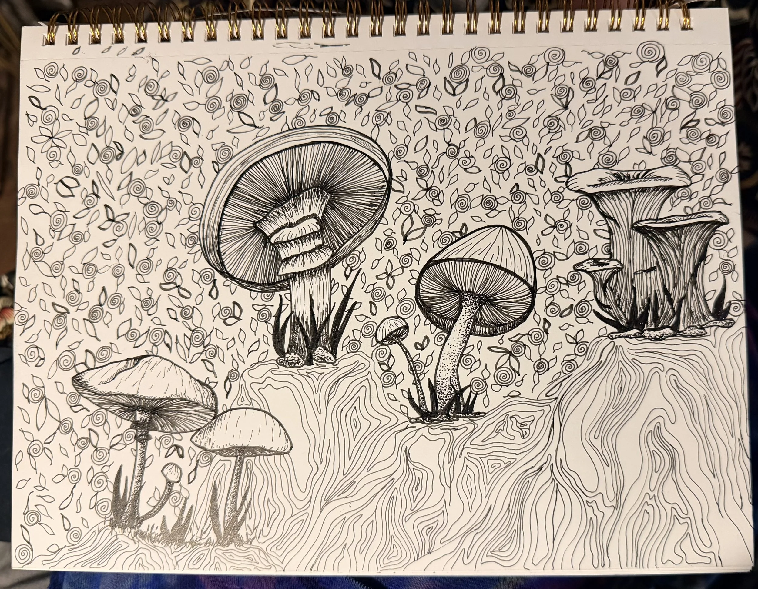 The Art of Creation