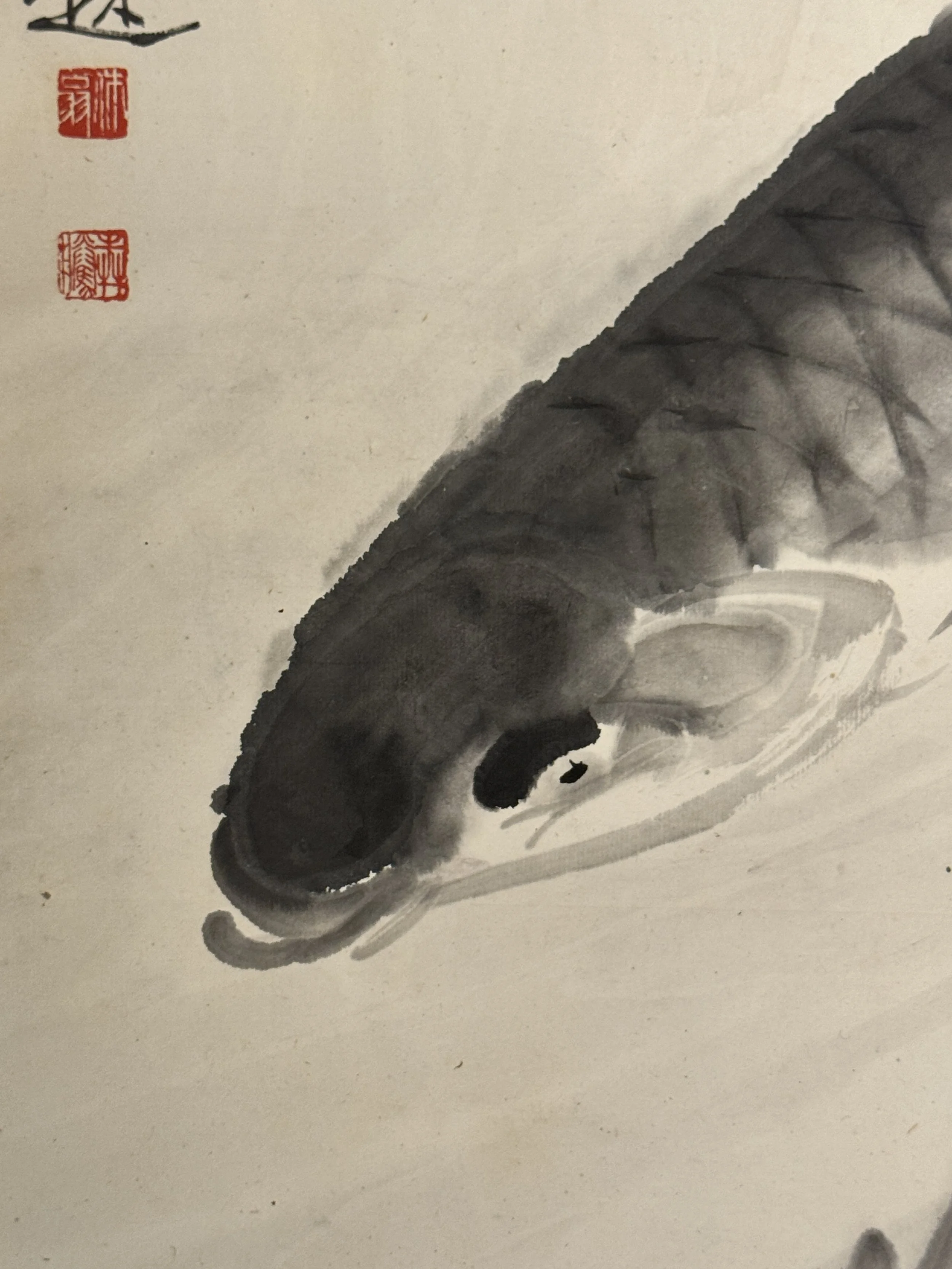 透網鱗 A Fish Broke Out of the Net