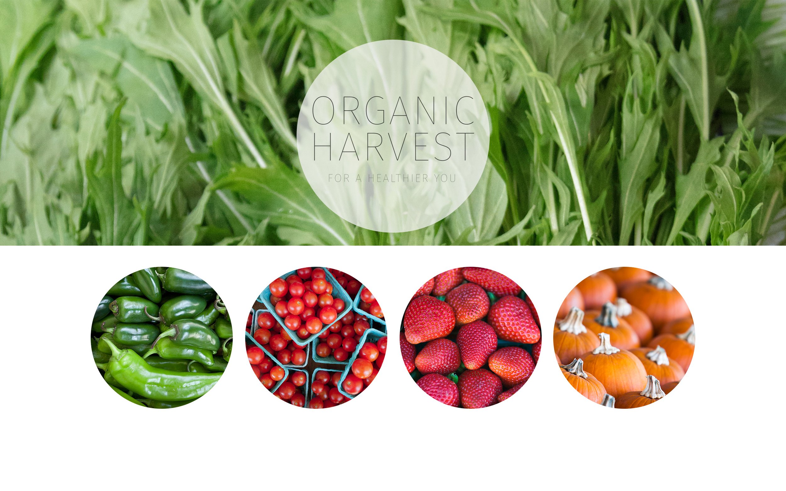 Harvest.jpg