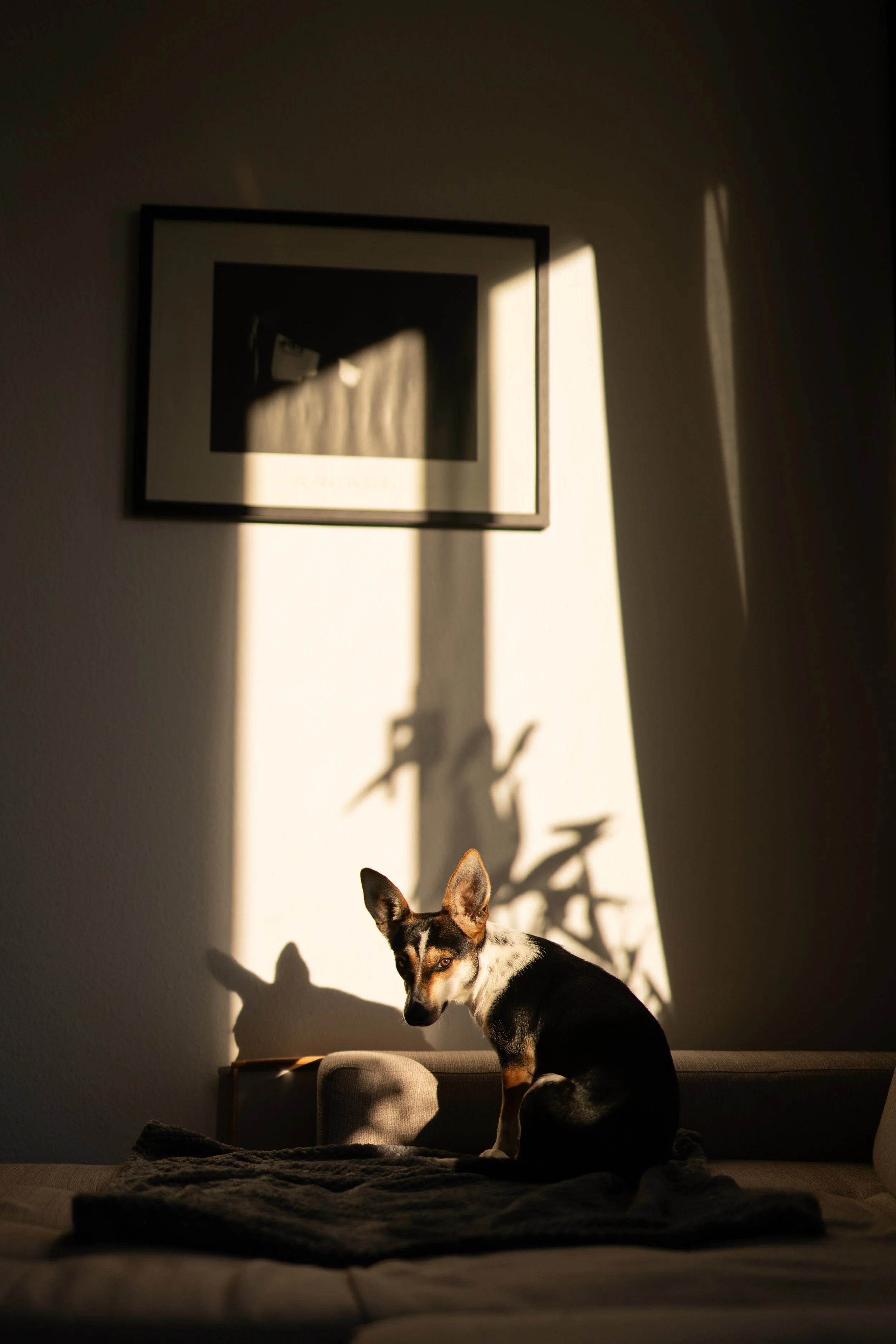 Tiere ©Philipp Letz (42).jpg