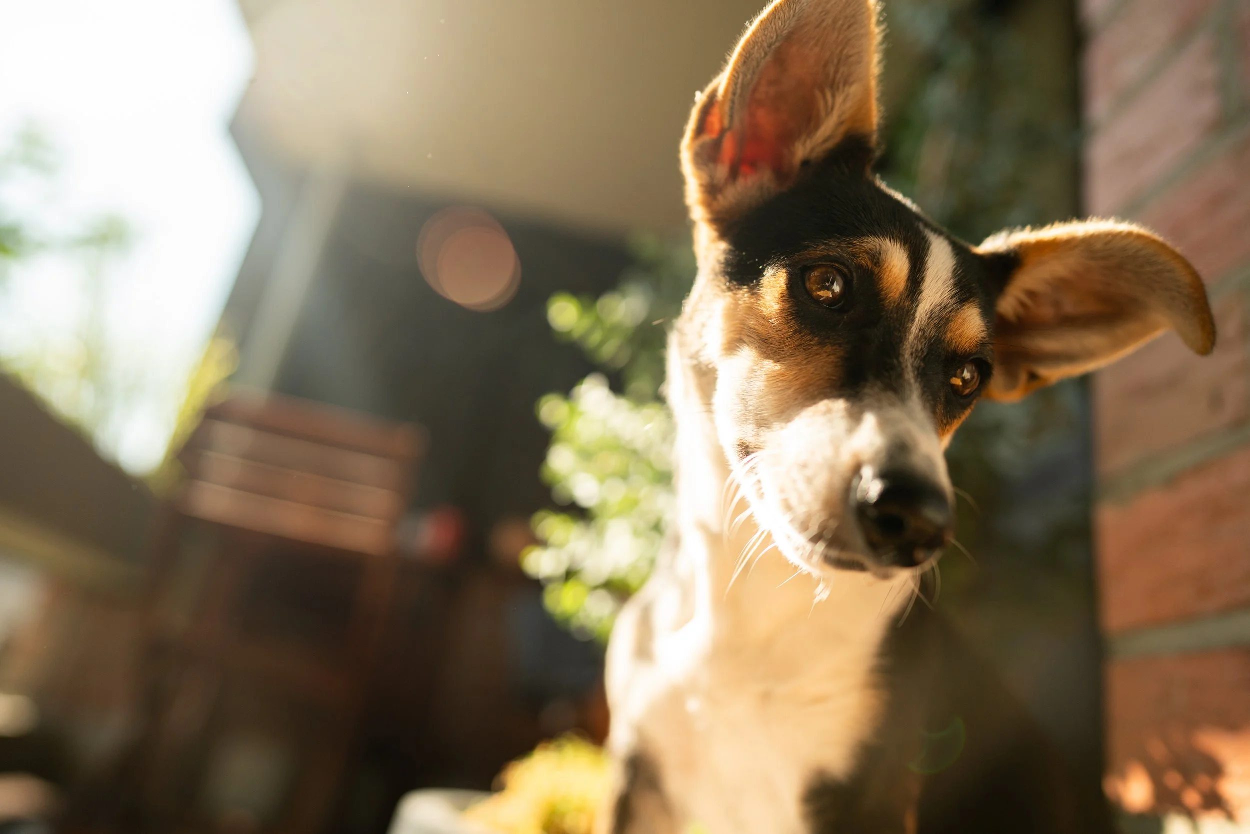 Tiere ©Philipp Letz (41).jpg