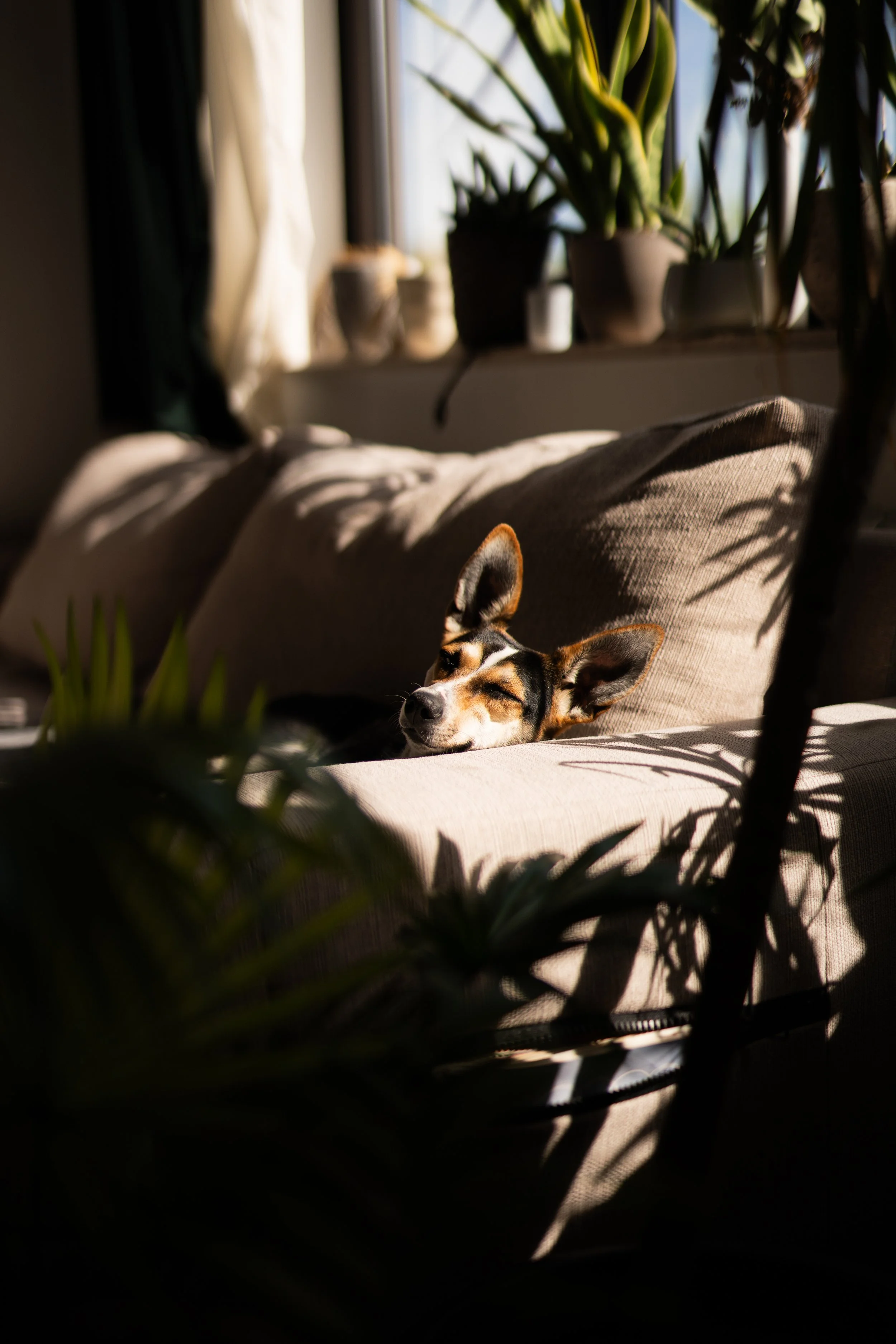 Tiere ©Philipp Letz (37).jpg