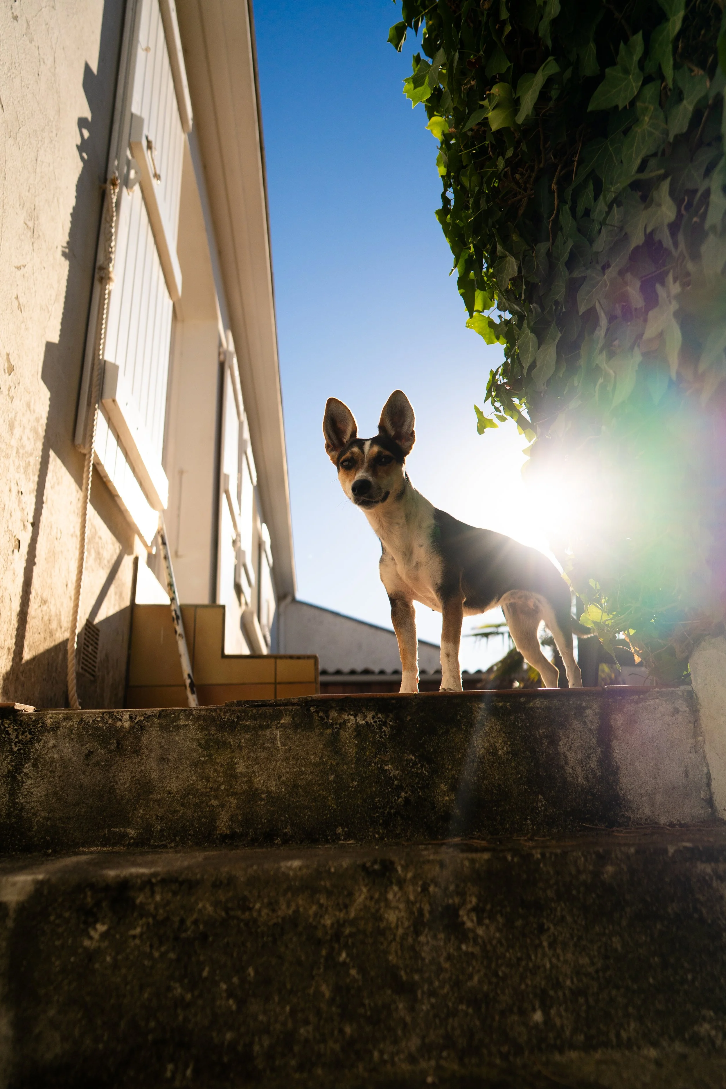 Tiere ©Philipp Letz (36).jpg