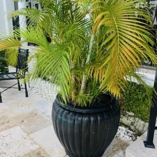 Old-Cutler-Bay-Estate-Sale- - 340 Small.jpeg