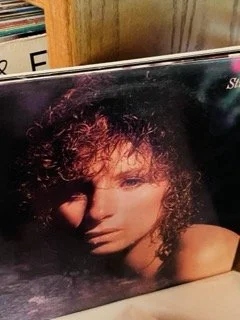 Vinyl 102 Small.jpeg