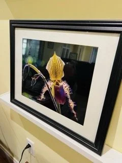 Hawley Heights  - 191 Small.jpeg