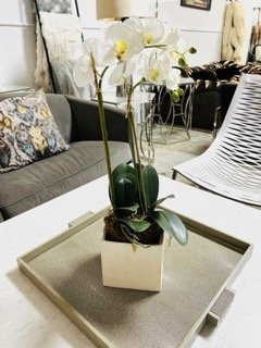 All About the Wow - 80 Small.jpeg