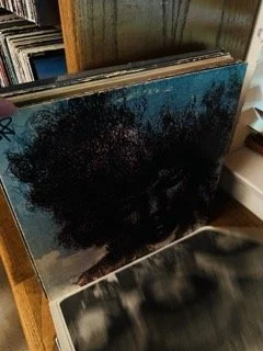Vinyl 436 Small.jpeg
