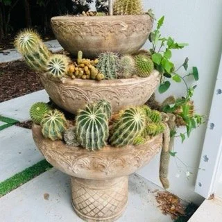 Pinecrest-Estate-Sale - 75 Small.jpeg