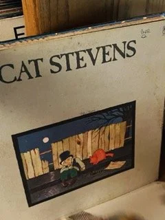 Vinyl 91 Small.jpeg
