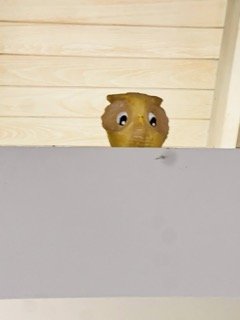 IMG_9287 Small.jpeg