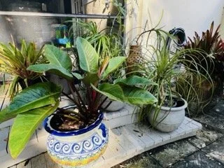 Coconut-Grove-Estate-Sale-120 Small.jpeg