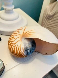 Hawley Heights  - 121 Small.jpeg