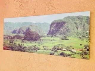 Coral-Gables-Estate-Sale- - 153 Small.jpeg