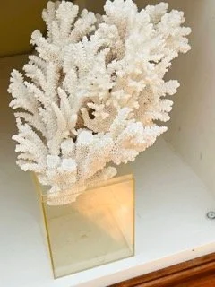 Coral-Gables-Estate-Sale- - 102 Small.jpeg