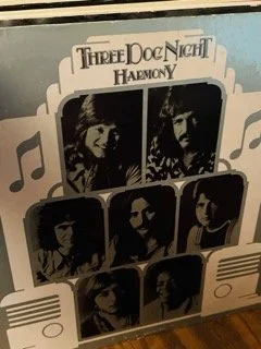 Vinyl 177 Small.jpeg