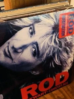 Vinyl 83 Small.jpeg
