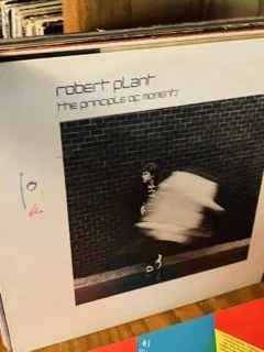 Vinyl 268 Small.jpeg