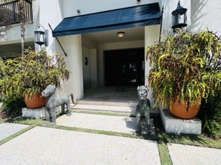 IMG_6261 Small.jpeg