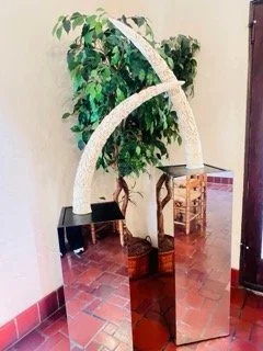 Coral-Gables-Estate-Sale- - 119 Small.jpeg