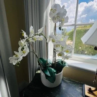 Old-Cutler-Bay-Estate-Sale- - 423 Small.jpeg