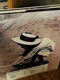 Vinyl 96 Small.jpeg