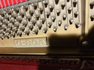 IMG_6536 Small.jpeg