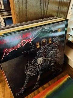 Vinyl 599 Small.jpeg